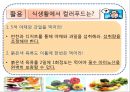컬러 푸드 (Color Food) 17페이지