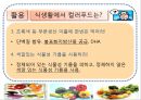 컬러 푸드 (Color Food) 18페이지
