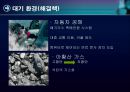 환경과학 - 다양한 환경이론들의 사회문화적 배경이해하기 12페이지