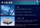 환경과학 - 다양한 환경이론들의 사회문화적 배경이해하기 14페이지
