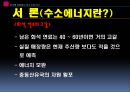 한국형 대체에너지에 대해서 (수소에너지) 4페이지