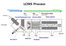 LCMS 이론 발표자료(그림, 설명) 4페이지