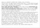 LCMS 이론 발표자료(그림, 설명) 11페이지