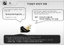 여권법의 필요성,여권 및 여권법의 정의,여권법의 변천과 현황,여권의 종류,여권의 사용,여권법 시행령,여권법 시행규칙,여권법 관련 국내외사례,국제민간항공기구(ICAO) 5페이지