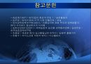 [ WTO 국제무역기구 ] 16페이지