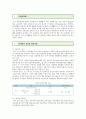 [주차문제] 주차문제의 해결방안 ; 주차문제의 정책적 현황과 방향 2페이지