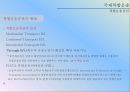 국제 복합 운송 30페이지