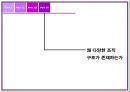 [조직행동론] 조직구조의 기초 47페이지