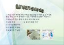 김영삼 문민정부와 IMF시대 16페이지