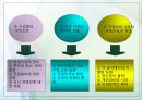 김영삼 문민정부와 IMF시대 19페이지