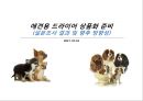 애견용(반려동물) 드라이어 상품화 준비를 위한 설문 조사 결과서 1페이지