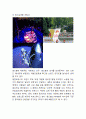 Redbull 레드불 성공비결과 레드불 마케팅사례분석및 레드불 미래전략방향제언 10페이지