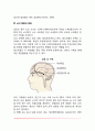 [영아기의 발달적 변화] 영아기 수면변화, 두뇌발달, 뇌의 발달과 분화 4페이지