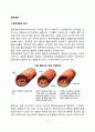 동맥경화의 원인 2페이지