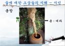 물에 대한 조상들의 지혜 15페이지