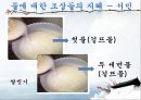 물에 대한 조상들의 지혜 18페이지