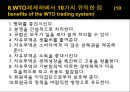 GATT (제네바 관세협정) 36페이지