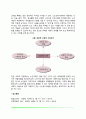 성공적 노화이론, 성공적인 노화와 성격유형, 성공적 노화의 영향요인 10페이지