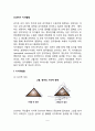신생아기 지각발달(신생아 시지각발달, 지각항상성, 공간지각, 청지각발달, 감각통합과 지각) 2페이지