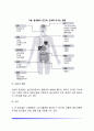 알코올중독의 개념과 유형, 알코올중독이 삶에 미치는 영향(알코올이 신체, 가족, 사회적으로 미치는 영향) 7페이지