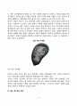 임신 개월별 태아발달, 임신 중 태아진단, 임신의 초기징후와 생리적 변화 6페이지