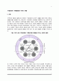 가정환경이 아동발달에 미치는 영향(부모양육태도, 아버지 양육참여, 이혼가정, 아동학대가 자녀에게 미치는 영향) 2페이지