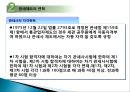 관세법-관세사제도 10페이지