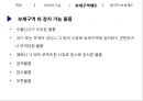 보세제도 일반 11페이지