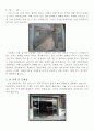 [과학 기술 글쓰기] 교내 흡연부스 설치 제안서 - 담배연기 피해 없는 학교, 흡연부스가 최선입니다 3페이지