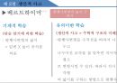[수학교과교육론] 제4장 문제해결의 심리학적 배경 13페이지
