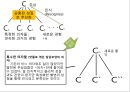 [수학학습심리학] 제2장. 수학적 개념의 형성 4페이지