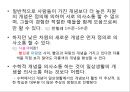 [수학학습심리학] 제2장. 수학적 개념의 형성 14페이지
