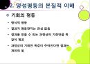 양성평등성 불평등 극복을 위한 양성(남녀)평등 문제의 이해 및 양 11페이지