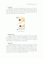 일상생활과 과학기술 리포트 레이저  7페이지