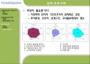 [국제물류론] Hub&Spoke [정의, 등장배경, 특징, 응용사례, Fedex, 한진해운, 2Port System] 19페이지