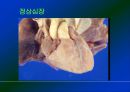 심폐소생술 3페이지