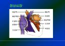 심폐소생술 4페이지