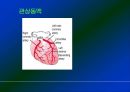 심폐소생술 5페이지