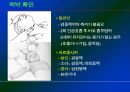 심폐소생술 13페이지