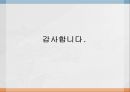 청소년범죄_및_사회복지적_해결방안 32페이지