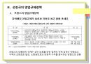 [행정사례연구] 대형마트 영업규제정책에 관한 연구 11페이지