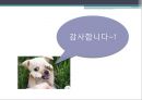 글로벌 유통 전략 24페이지