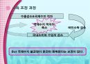 무역과 국제수지 21페이지