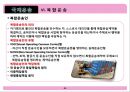 [무역학개론] 국제운송 [의의, 형태, 해상운송, 선하증권, 복합운송] 33페이지