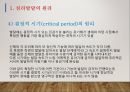 심리발달의 원리와 인지발달이론 5페이지
