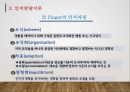 심리발달의 원리와 인지발달이론 11페이지