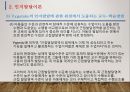 심리발달의 원리와 인지발달이론 16페이지
