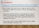 심리발달의 원리와 인지발달이론 20페이지