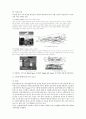 중앙대 진동계측실험  TMD,TLD 예비레포트 2페이지