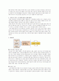 가족복지론- 한국가족의 형태를 기술하고 건강가족과 질병가족의 예를 들어 가족복지 서비스 및 정책에 대한 문제와 한계점에 대해 정리하시오. 4페이지